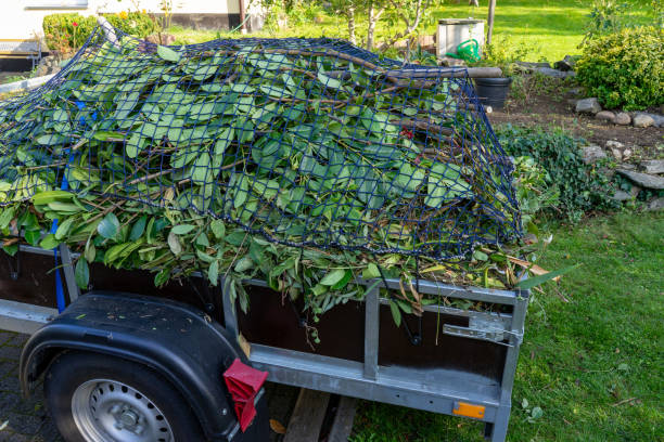 Best Electronics and E-Waste Disposal  in Shullsburg, WI